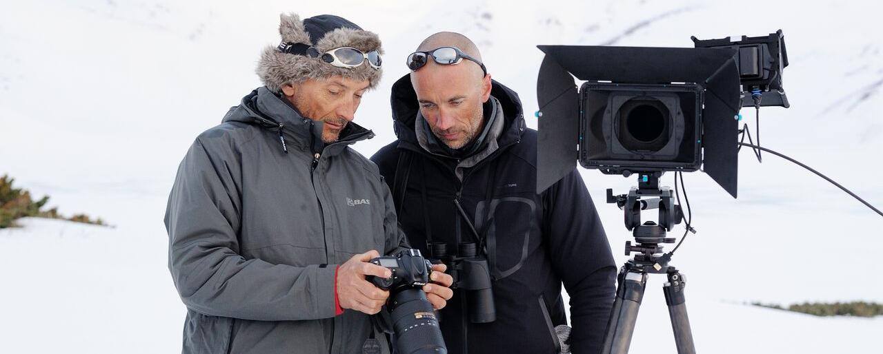 Жизнь камчатских медвежат покажут на больших экранах